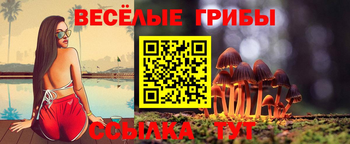 Галлюциногенные грибы Psilocybine cubensis  Вход с VPN  Лесозаводск 