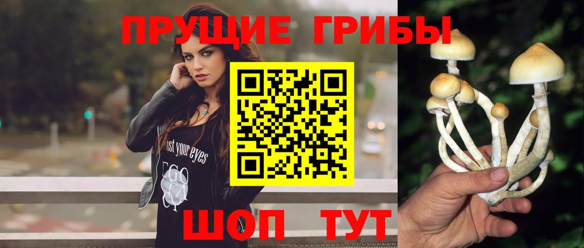 Галлюциногенные грибы ЛСД Лесозаводск